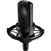 Microfono: Audio-Technica AT4040 Dispositivi